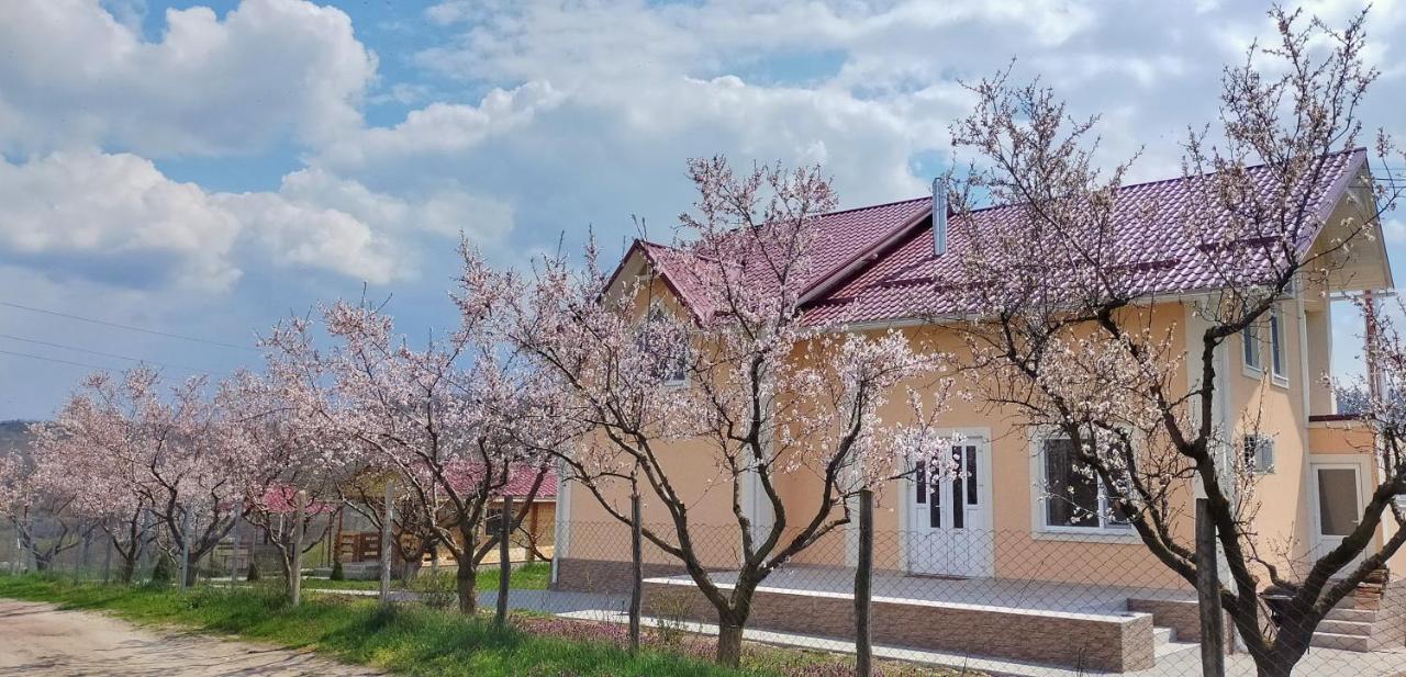 Villa Conacul Mierii à Straseni Extérieur photo