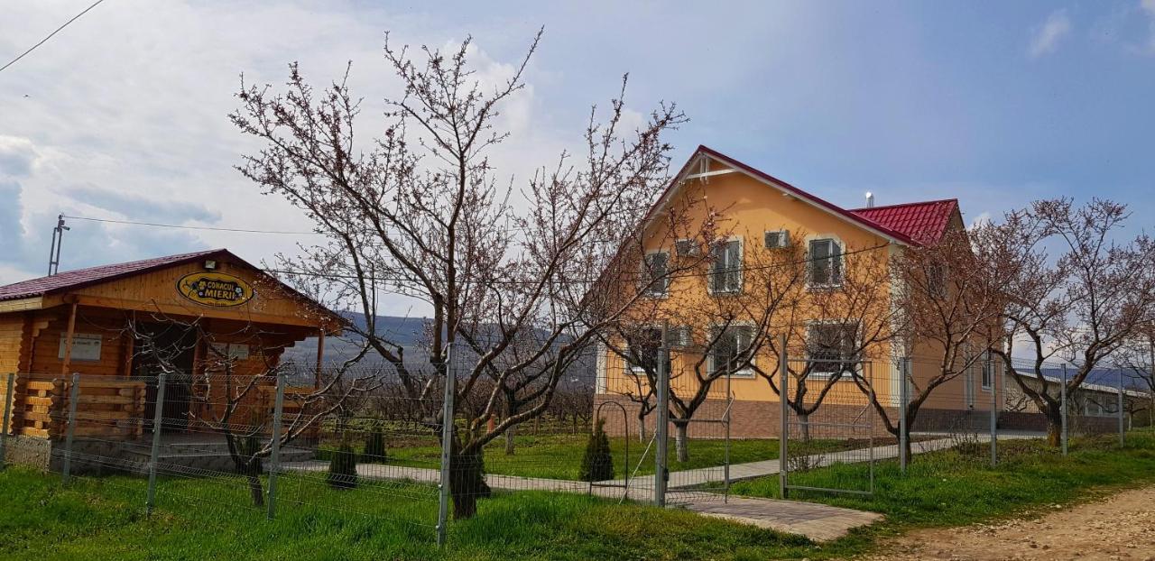 Villa Conacul Mierii à Straseni Extérieur photo